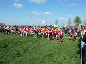 九游娱乐官方-世界青少年滑板锦标赛吸引众多新锐少年，2021青少年滑板锦标赛