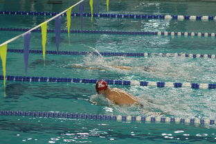 九游娱乐官方-世界游泳锦标赛中国女将再获金牌，世界游泳锦标赛2020